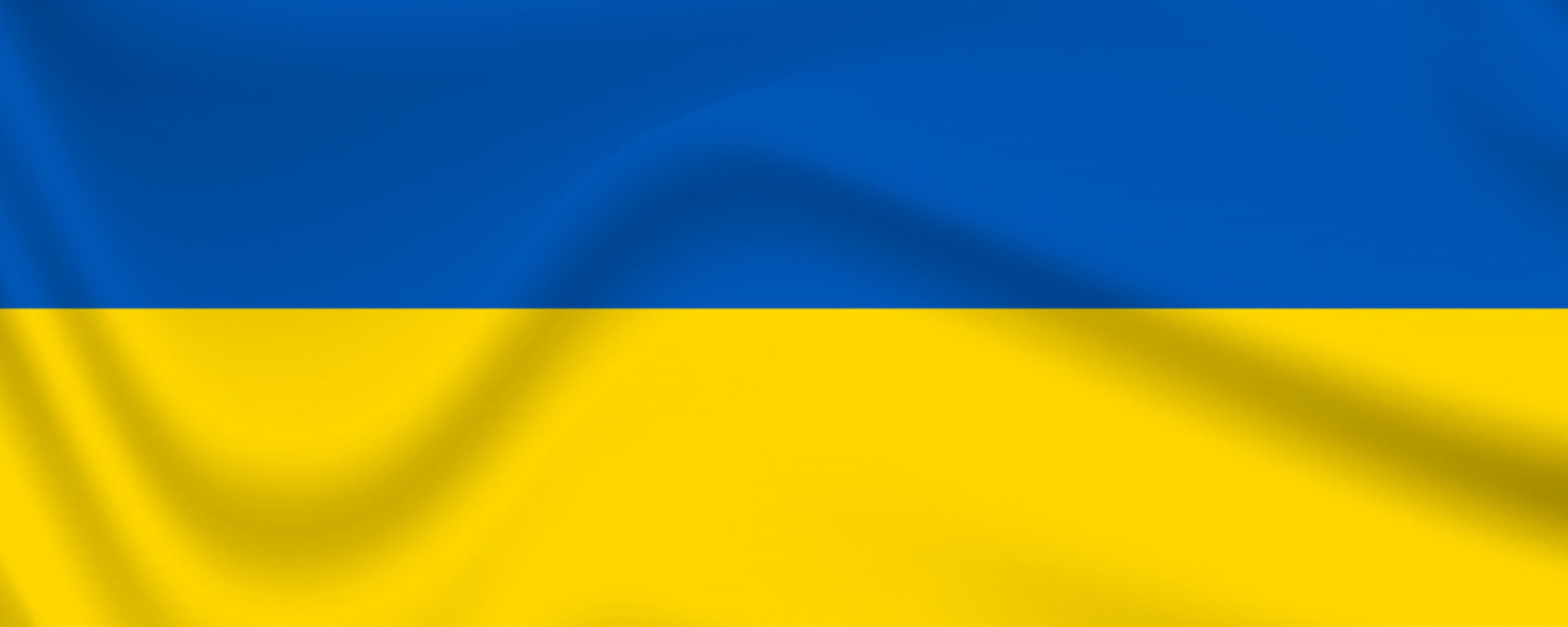 Ukraine Flag