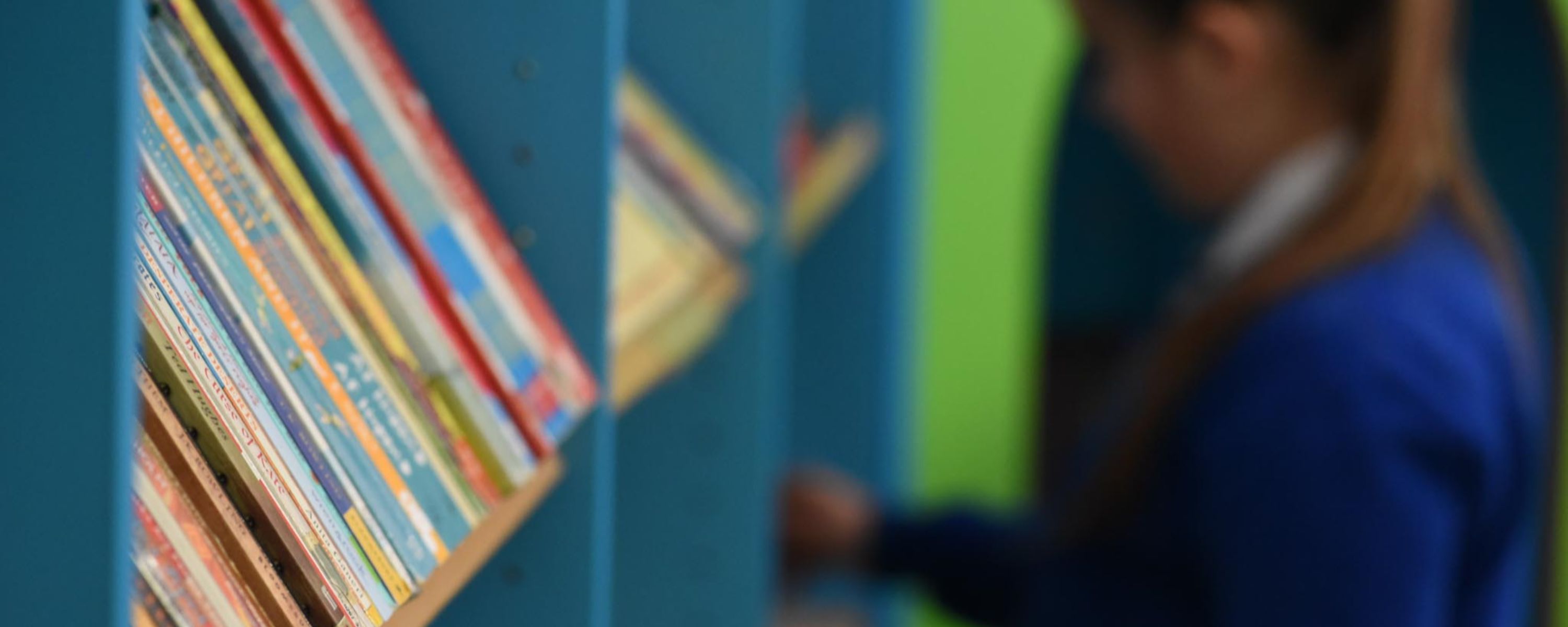 Banner 3